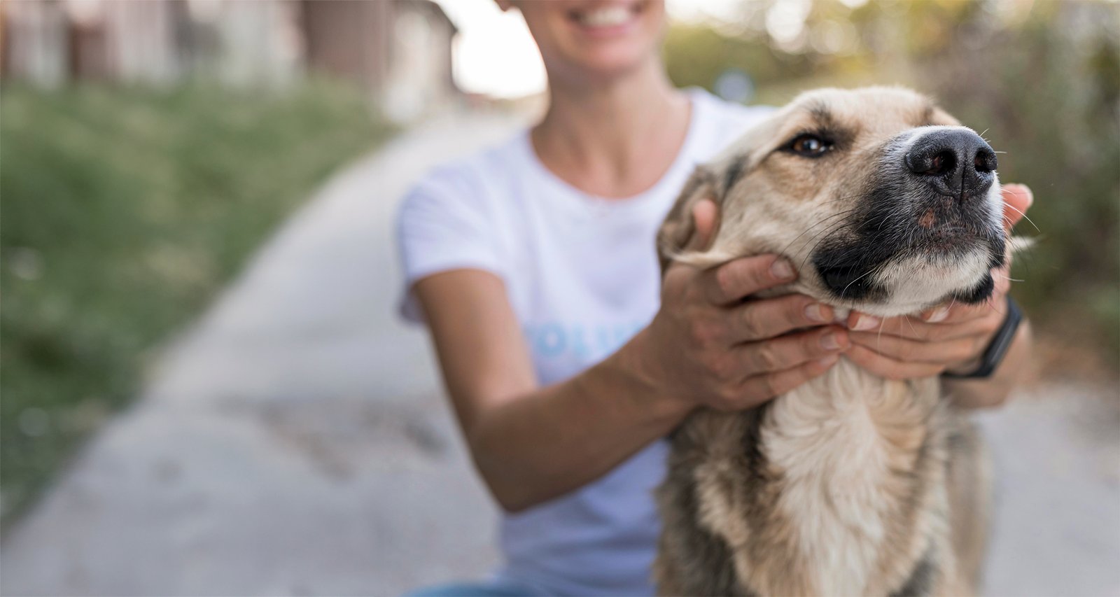 PAWS: La solución ecológica para eliminar manchas y olores de las mascotas